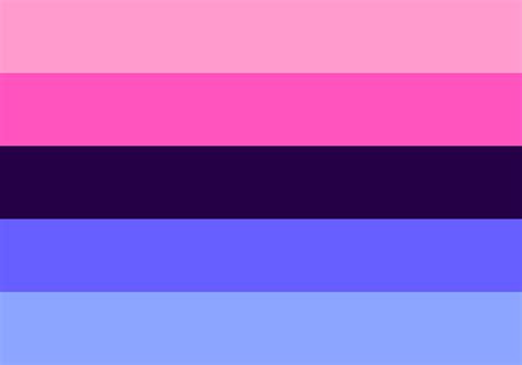 omnisexual flag meaning|Omni (orientation)